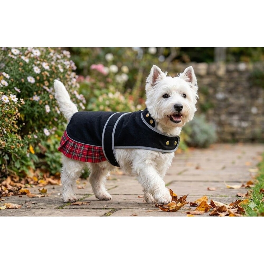 Cosipet Dog Coat Black with Red Tartan Plaid Trim Made in England Small